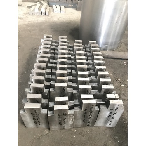 Magnetic pole pressing plate forging